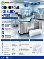 Usine professionnelle de fabrication de blocs de glace avec système de réfrigération à double vis pour les hubs de la chaîne du froid