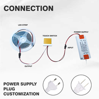 Shinechip Luminaire LED pour Salle de Bain à 3 Modes et Bouton Unique 12V/24V avec Mini Miroir et Interrupteur Tactile Intelligent