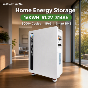 Lithium Iron Phosphate <b>Battery</b> 16kWh 51.2V 314Ah IP65 8000+ Cycles Mobile APP WiFi Monitoring Whole Home Backup - Product Image 1
