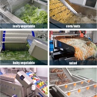 Commerciële groente- en fruitwasmachine met ozon-luchtbeltechnologie voor maïs, noten en groenten, SUS 304 motor/pomp, 1500-3000kg/u