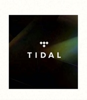 Abonnement Tidal Premium Tidal Music 12 mois, comptes Tidal, abonnement Tidal Hifi Plus 1 an