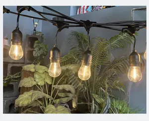 Proveedor E27 48ft S14 A60 20m 100M Festoon Light Solar Holiday Garden Patio Cafe Decorativo Impermeable Outdoor LED String Light