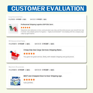 Siti di Shopping servizio logistico internazionale dalla cina al Canada USA | DDP LCL + spedizione Express Amazon disponibile - Product Image 4