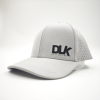 Gorra de Béisbol Deportiva Personalizada con Logotipo de Goma, Unisex, Visera Plana, 6 Paneles, Corte Láser, Perforada, Impermeable, con Diseño de Frutas, Leopardo y Argyle