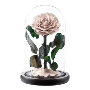 Rose Preserved Center Pieces Flowers Small Decoration Forever Rose in Glass Dome