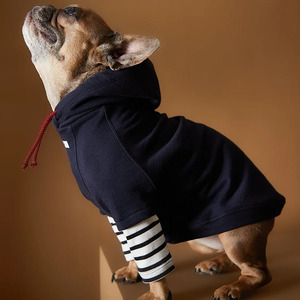 Camiseta a rayas de otoño para perros medianos y grandes, ropa sostenible acogedora, <span class=keywords><strong>Golden</strong></span> <span class=keywords><strong>Retriever</strong></span>, Labrador, mascotas de tamaño pequeño, verano e invierno - Product Image 3