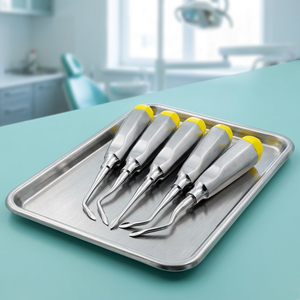 Élévateurs dentaires en acier inoxydable, instruments chirurgicaux manuels, poignée ergonomique, argent, classe I - Product Image 2
