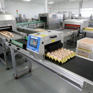 Imprimante à <span class=keywords><strong>encre</strong></span> comestible pour œufs, machine de codage de date pour œufs avec <span class=keywords><strong>cartouche</strong></span> <span class=keywords><strong>d</strong></span>'<span class=keywords><strong>encre</strong></span> de qualité alimentaire et convoyeur en acier inoxydable - Product Image 4