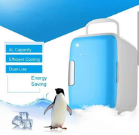 Mini réfrigérateur personnalisé 4L DC 12V pour voiture, camping, camping-car, réfrigérateur thermoélectrique d'extérieur portable et compact