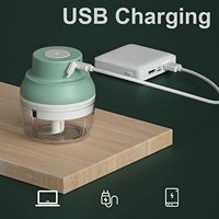 Hachoir à ail électrique Portable, Mini robot alimentaire, mélangeur étanche pour légumes, viande, aliments pour bébés, hachoir à chargement USB