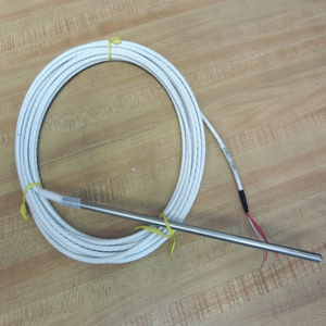 Sonda Termocoppia PLC Powis 070077 per Affumicatore Commerciale - Fornitura all'Ingrosso - Product Image 1