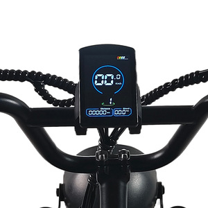 Bicicleta eléctrica todoterreno de dos ruedas con marco de acero de freno de disco de batería de litio de 48V para uso todoterreno en áreas urbanas y rurales - Product Image 3