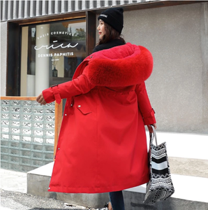 Vielleicht-<span class=keywords><strong>manteau</strong></span> <span class=keywords><strong>Long</strong></span> d'hiver à capuche <span class=keywords><strong>pour</strong></span> <span class=keywords><strong>femme</strong></span>, épaisse, chaud, parka, <span class=keywords><strong>grande</strong></span> <span class=keywords><strong>taille</strong></span>, col en fourrure, vestes brodées, rembourrée - Product Image 4