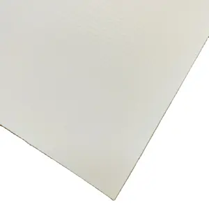 Hochwertige PVC-Flex-Banner rolle mit Front beleuchtung 300g 200*300 für Digitaldruck banner