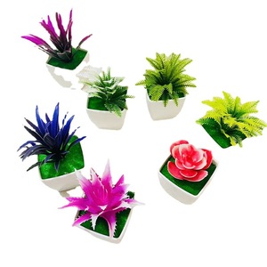 Plantas Suculentas Artificiales Qi Xing de 10 cm, Plantas en Maceta de Plástico para Escritorio, Decoraciones Ecológicas - Product Image 5