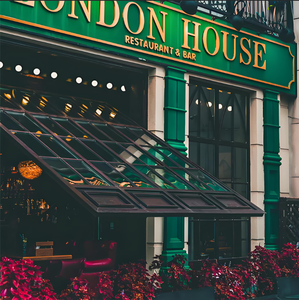 Puertas de garaje Deda Lift up Retail para puertas de garaje hidráulicas de taller mecánico - Product Image 4