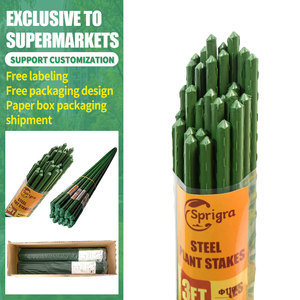 Cọc đỡ cây, khung leo cây, giàn leo cây, cọc nhựa bọc thép, ống thép, cây cảnh làm vườn bán buôn - Product Image 1