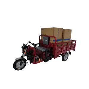 Low Price Large Electric Tricycle 1200W 60V 45Ah Cargo Electric Tricycle for Men Use