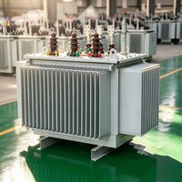 Transformateur de distribution de puissance triphasé immergé dans l'huile Taishun S11 200KVA 50/60Hz 6.3kV 10kV