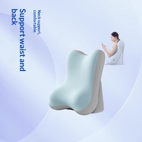 Coussin de soutien lombaire et cervical en mousse à mémoire de forme, type divan, pour lit, lecture et dossier de lit