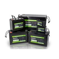 OEM 12,8 V 12V 24V 100Ah 50Ah 20Ah 48V 200Ah 300Ah 400Ah Lifepo Lipo4 Baterias Lifepo4 Paquete de batería de iones de litio solar