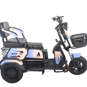 Chinesischer Lieferant Elektro-Dreirad 500 W Bleisäure-Akku Elektro-Dreifahrräder Elektro-Scooter E-Bike Elektrofahrrad für Erwachsene
