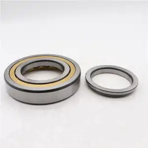 F 16022 Duplo Row Contato Angular Ball Bearing F16022