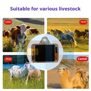 Traceur GPS 4G solaire pour bétail avec positionnement BeiDou, étanche, <span class=keywords><strong>puce</strong></span> 1K pour bovins, ovins, chevaux, chameaux en pâturage montagneux - Product Image 6