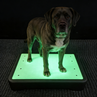 Plateforme d'entraînement pour chien USMILEPET avec couleur personnalisée et panneau lumineux, équipement d'agilité pour chien