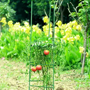 Estacas de soporte de Metal de acero recubierto para plantas de escalada, palos de jardín, torre de toallitas de tomate