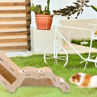 Caverne cachette en bois pour hamsters avec échelle pour gerbilles, forme irrégulière