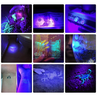 Mini Linterna UV de Aluminio con 9 LED de Luz Púrpura, Detector de Orina de Mascotas y Escorpiones, para Camping, con Fuente de Alimentación CC, Aleación de Aluminio