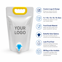 Doypack PE recyclable personnalisé avec bec verseur 1,5L/2L/3L pour jus/vin/boissons, pochette souple verticale en boîte