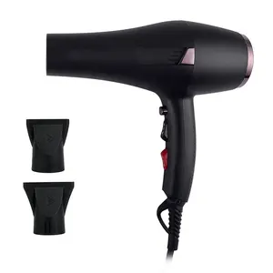 Multifunction 5 files adjustable high-speed professional salon 2400W hair dryer with 2 wind collecting Nozzle