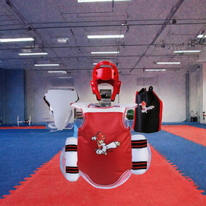 Ensemble d'équipements de protection Taekwondo, boxe, MMA, kickboxing : Cible d'entraînement, Armure de protection, Protège-poitrine, Protège-tête, Protège-tibias - Product Image 3