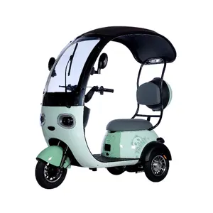 Semi-Enclosed Steel Frame Electric Leisure Tricycle Dual-Purpose Two-Person Tricycle With Baby Seat And Rear Hub Motor