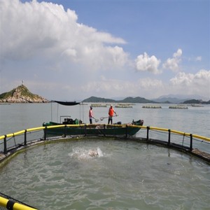 Jaula Circular para Peces de HDPE Resistente a Impactos, Instalación de Acuicultura Profunda en Alta Mar con Estructura Reforzada - Product Image 6