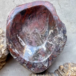 Bois pétrifié naturel poli fossile cristal tranche sous-verre spécimen minéral bol fossile en bois pour la décoration - Product Image 4