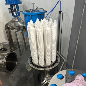 Élément de filtre à air, filtre à gaz pour bioréacteur, fermenteur, éventail de diffusion, oxygénation - Product Image 3