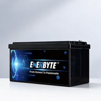 Paquete de Baterías de Iones de Litio de Ciclo Profundo Enerbyte, Batería de Iones de Litio LiFePO4 para RV, Carrito de Golf, AGV, ISO