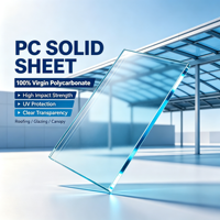 Plaque en polycarbonate solide sur mesure, couleur et taille personnalisées, transparente, teintée, givrée, surface gaufrée pour la construction de auvents et de toitures
