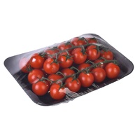 Fabrieks prijs plastic PET vlees schuimtrays zwarte fruit en groente verpakkingen voor supermarkten