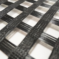 Geogrid Biaxial de Poliéster PET de 100KN a Precio de Fábrica, Alta Resistencia a la Tracción para Refuerzo de Muros de Contención