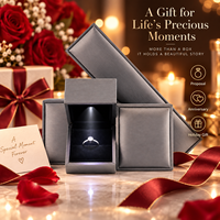 Boîte à bijoux en cuir PU avec éclairage LED intégré, intérieur en velours, pour fête de fiançailles, cadeau de vacances, présentoir de bijouterie