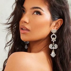 Boucles d'oreilles pendantes en argent de style européen et américain, longues, avec zircon immortel, design géométrique en forme de goutte d'eau, de fleur et de feuille, tendance - Product Image 1