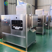 Fruitgroente Reinigingsmachine Industriële Sapcentrifuge Fruitdestoner