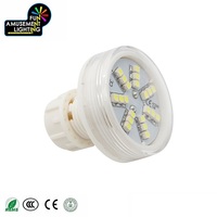 Lampe LED Pixel AC24V 2W IP65 Étanche Monocouleur SMD3528 21 LED Angle de 180° 20MM pour Éclairage de Divertissement