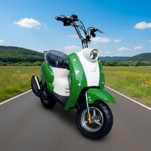 HAYA 49cc 2 roues 2 temps <span class=keywords><strong>Pocket</strong></span> <span class=keywords><strong>Bike</strong></span> Mini Moto pour enfants avec moteur à essence/diesel et <span class=keywords><strong>vitesse</strong></span> maximale de 45 km/h - Product Image 1