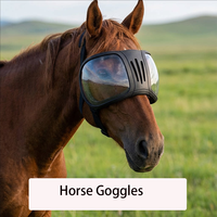 Hot Sale Luxury Eco-Friendly Solid PC 2026 Fashion Horse Racing Sports Riding Goggles UV Windproof Accessories Horse