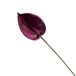 Fleur artificielle d'Anthurium Secret Garden, branche unique en plastique et tissu, pour décorations de mariage et fête des Mères - Product Image 5